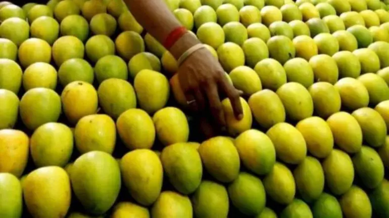US junks 15 shipments of mangoes exported from India over documentation lapses