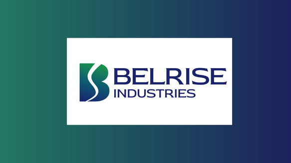 Should You Invest in the Belrise Industries IPO? Here’s the Real Scoop